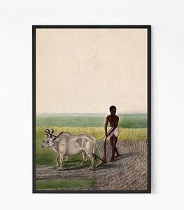 A Man Ploughing Land with Oxen painting Wall Art