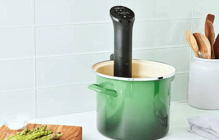 Best Sous Vide Machines for Perfectly Cooked Meals