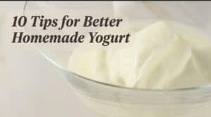 10 Tips for Better Homemade Yogurt