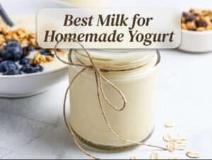 Best Milk for Homemade Yogurt