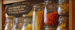 How Should You Store Dry Foods to Prevent Pests?