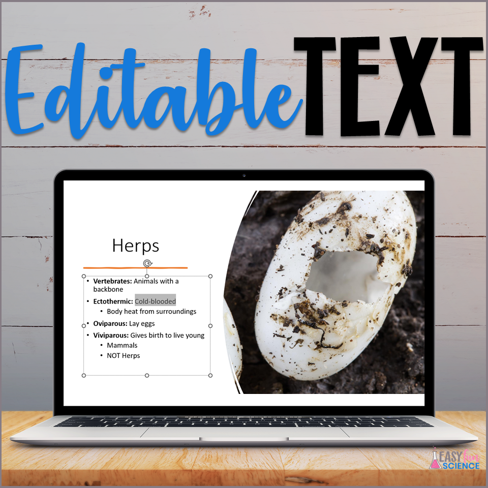 Apologia Zoology 2 Swimming Creatures Ch 4 Aquatic Herps Slideshow | EDITABLE - Image 2