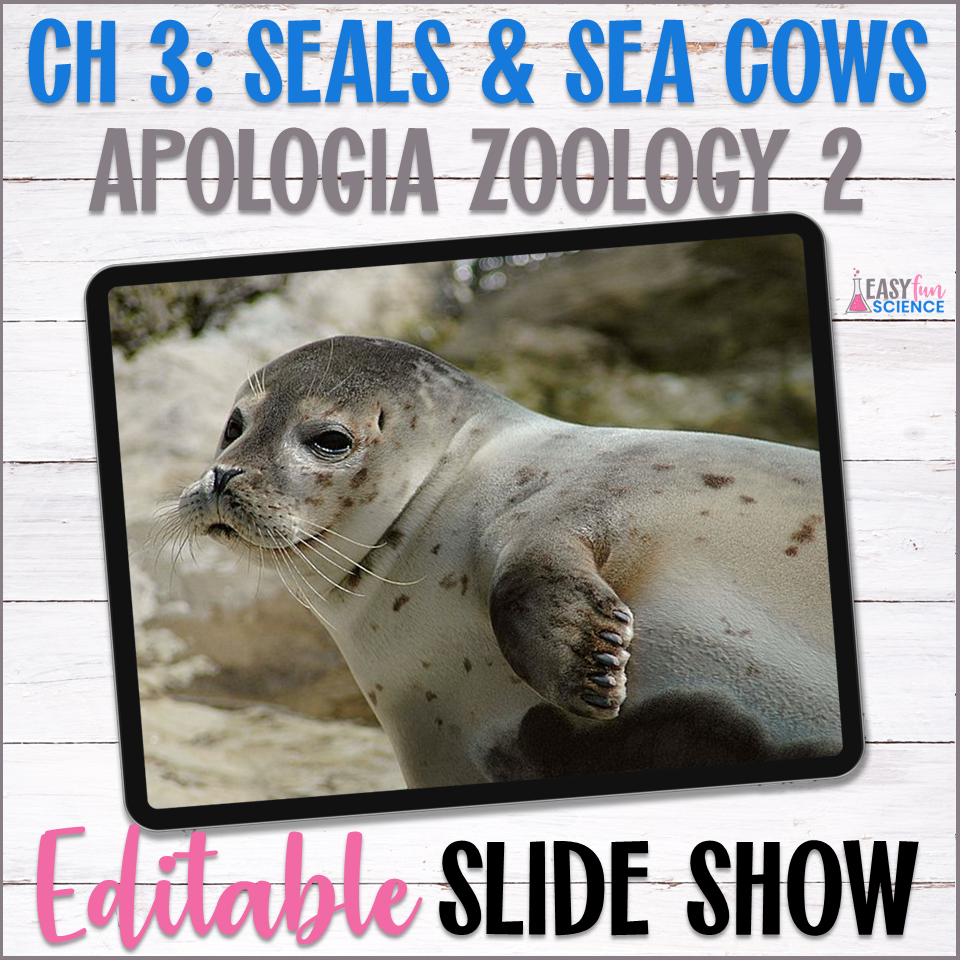 Slide Show about Seals and Sea Cows