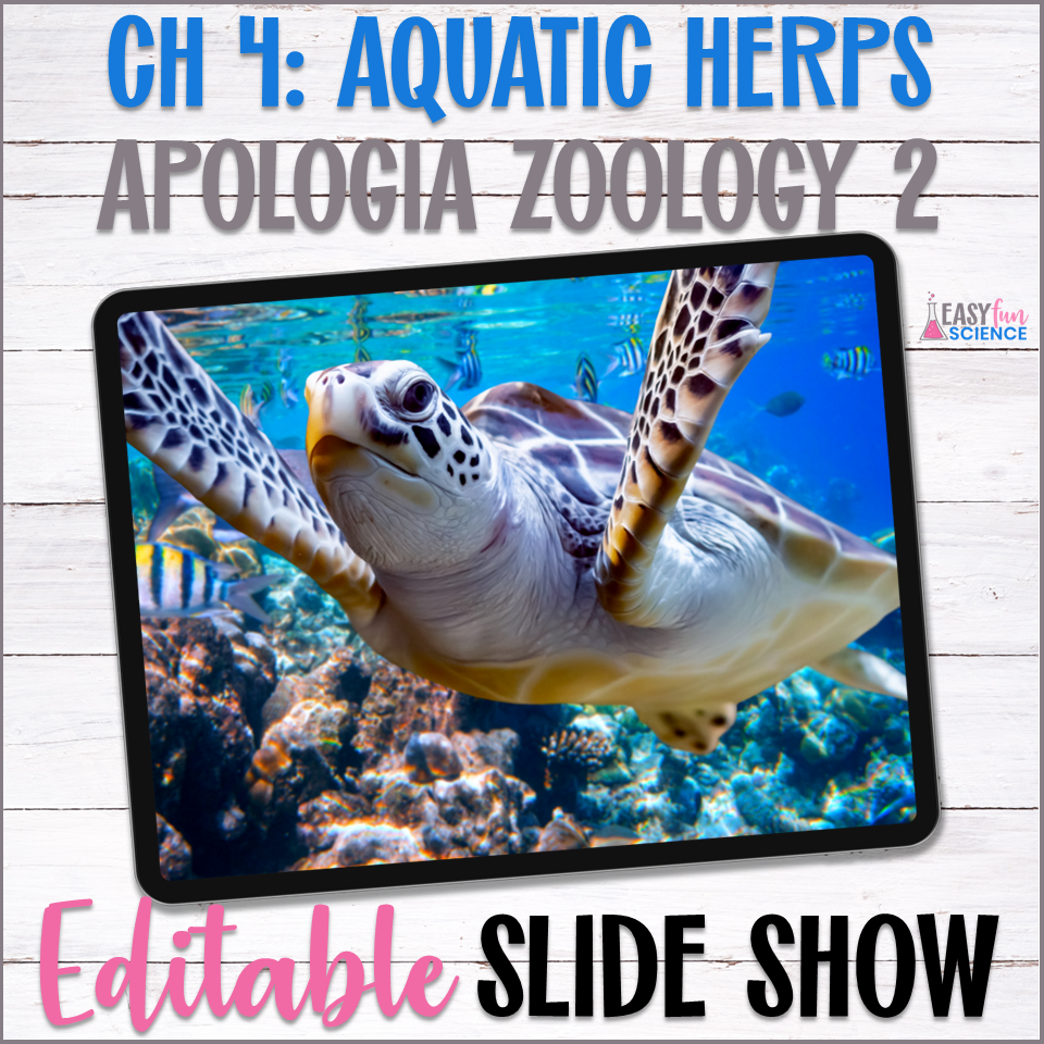 Aquatic Reptiles Slide Show