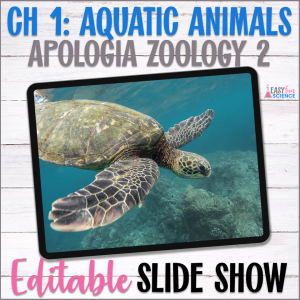 Aquatic Animals Slide Show