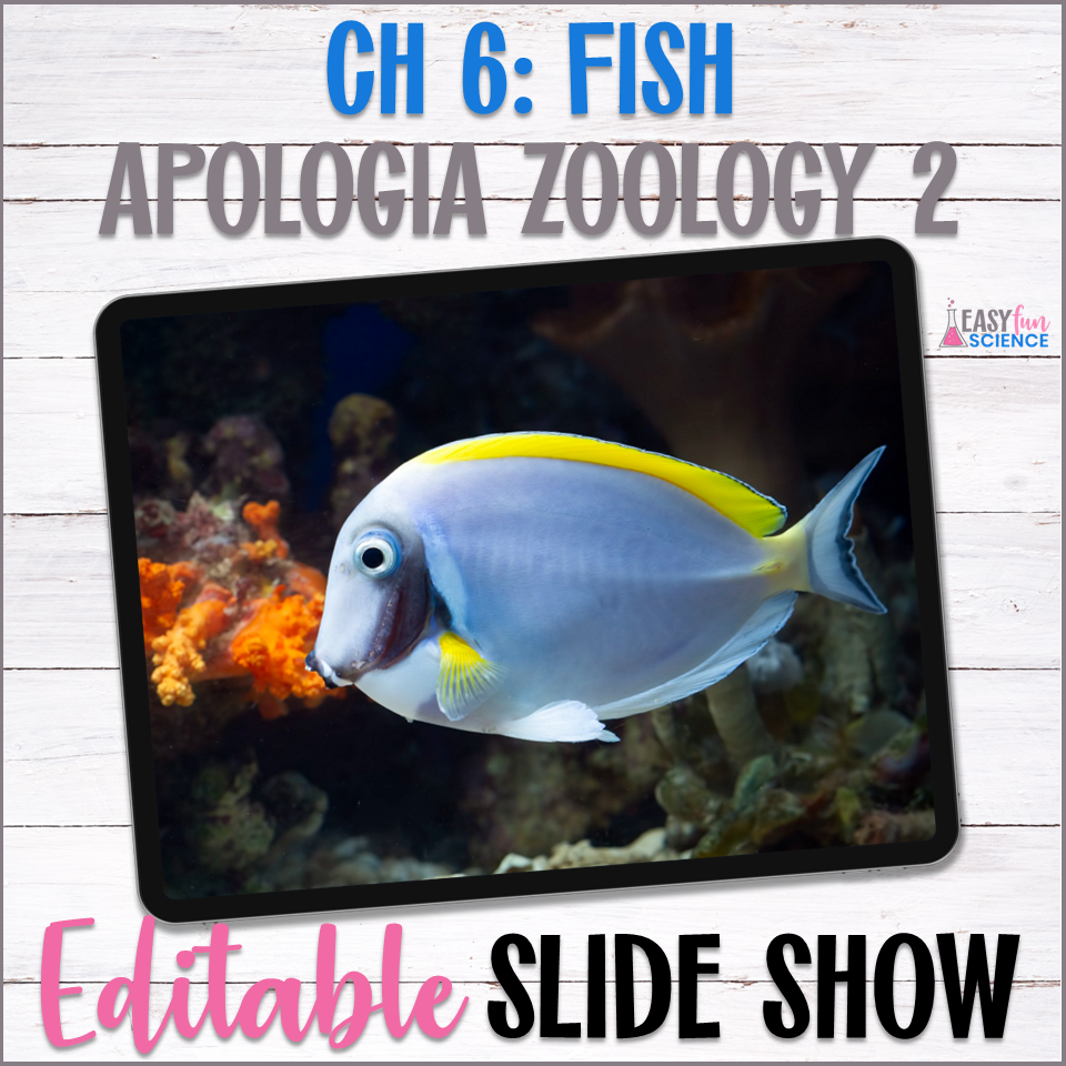 powerpoint slide show about fish