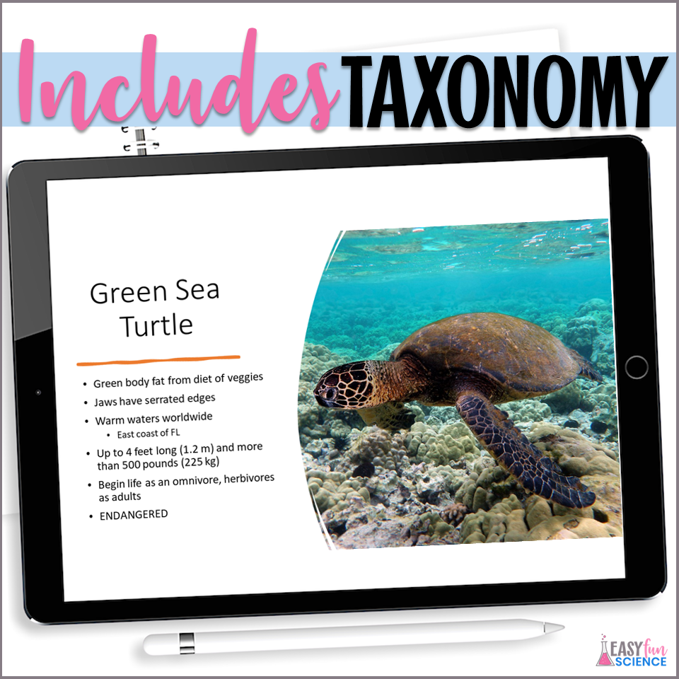 Apologia Zoology 2 Swimming Creatures Ch 4 Aquatic Herps Slideshow | EDITABLE - Image 3