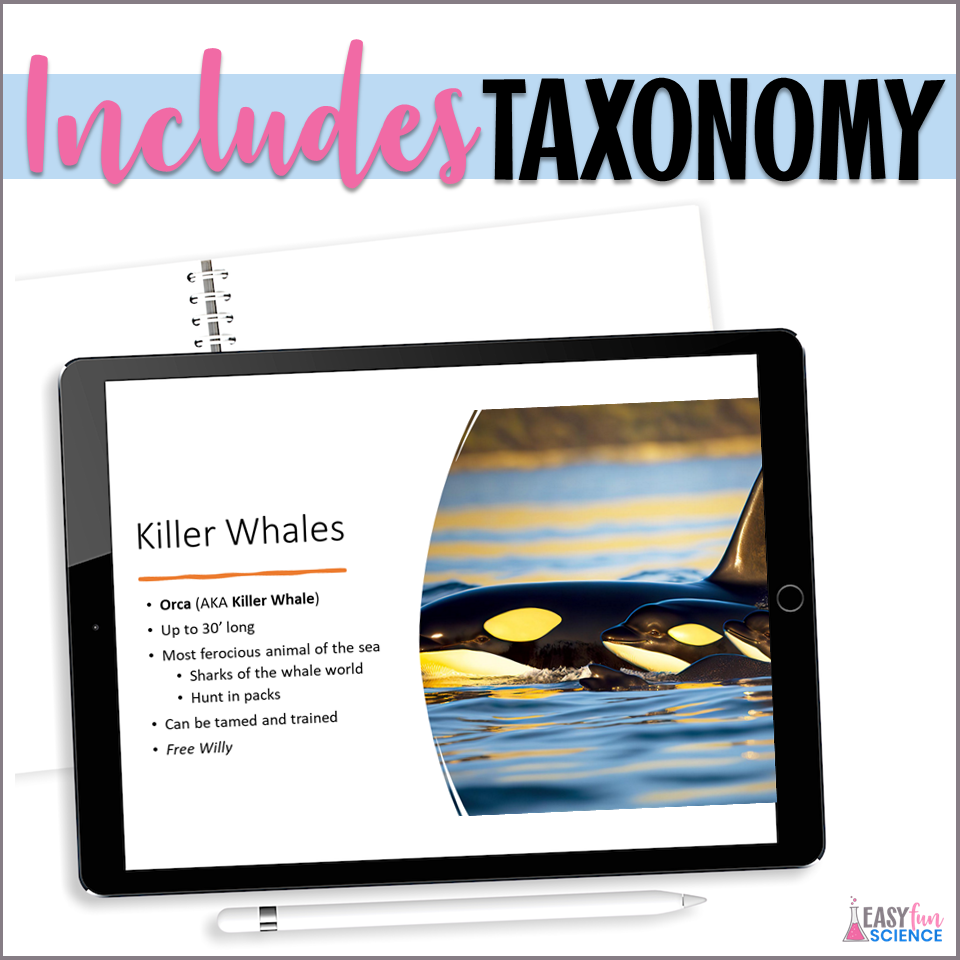 Apologia Zoology 2 Swimming Creatures Chapter 2 Whales Slideshow | EDITABLE - Image 3