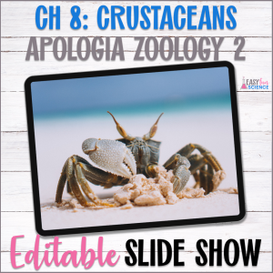 Powerpoint Slide Show about crustaceans