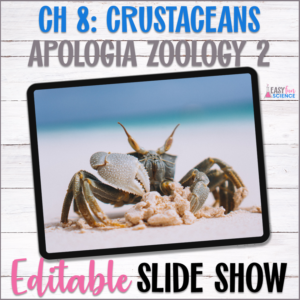 Powerpoint Slide Show about crustaceans