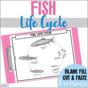 life cycle of fish diagrams