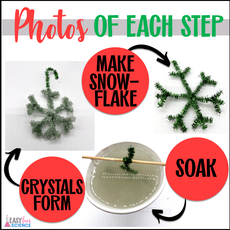 Borax Crystals Ornaments | Christmas Object Lesson and Snowflake Identification - Image 2
