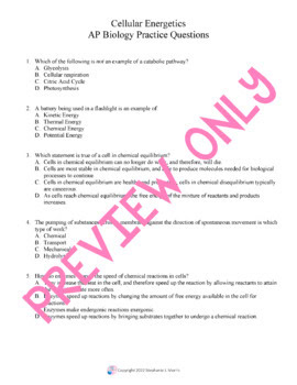 AP Biology Practice Cellular Energetics - Image 2