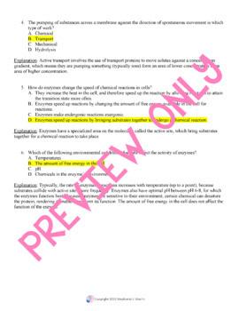 AP Biology Practice Cellular Energetics - Image 4