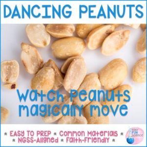 Peanut Fun
