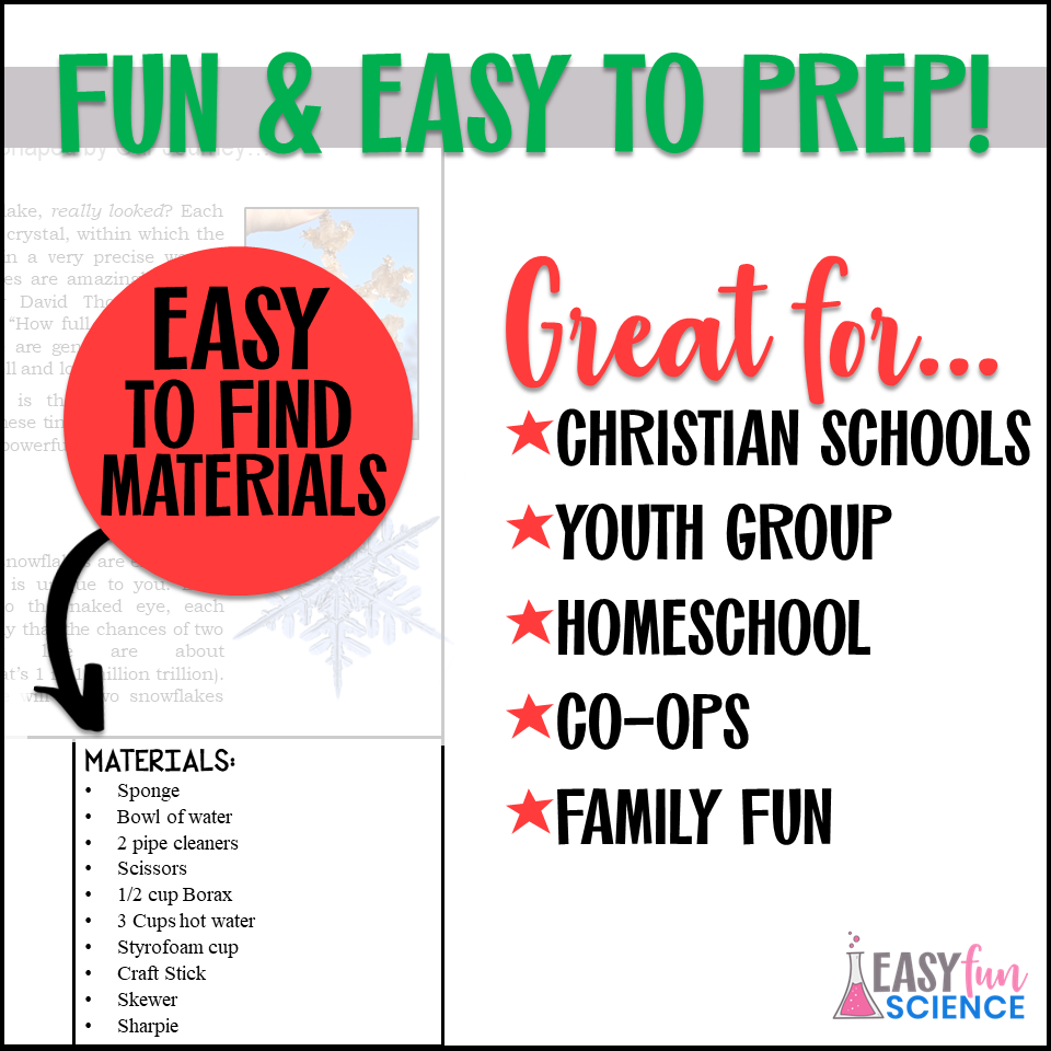 Borax Crystals Ornaments | Christmas Object Lesson and Snowflake Identification - Image 4