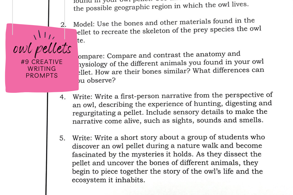 Image of two creative writing prompts and caption that reads "Creative writing prompts."