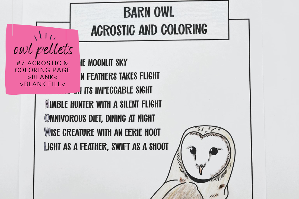 Barn owl acrostic and coloring page with an acrostic spelling BARNOWL. Caption says "acrostic and coloring page, blank, blank fill" indicating there are two options for the acrostic. 