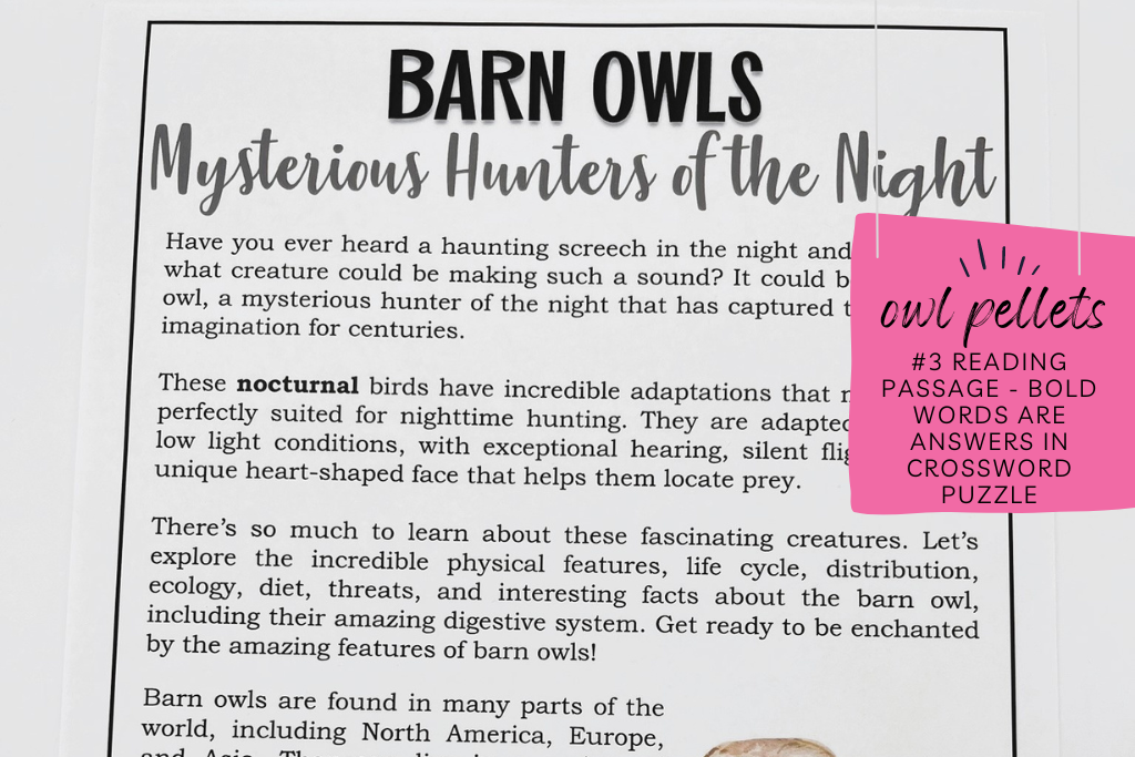 Reading passage about barn owls with caption that states "reading passage - bold words are answers in crossword puzzle." This is a good activity to do before owl pellet dissections. 

