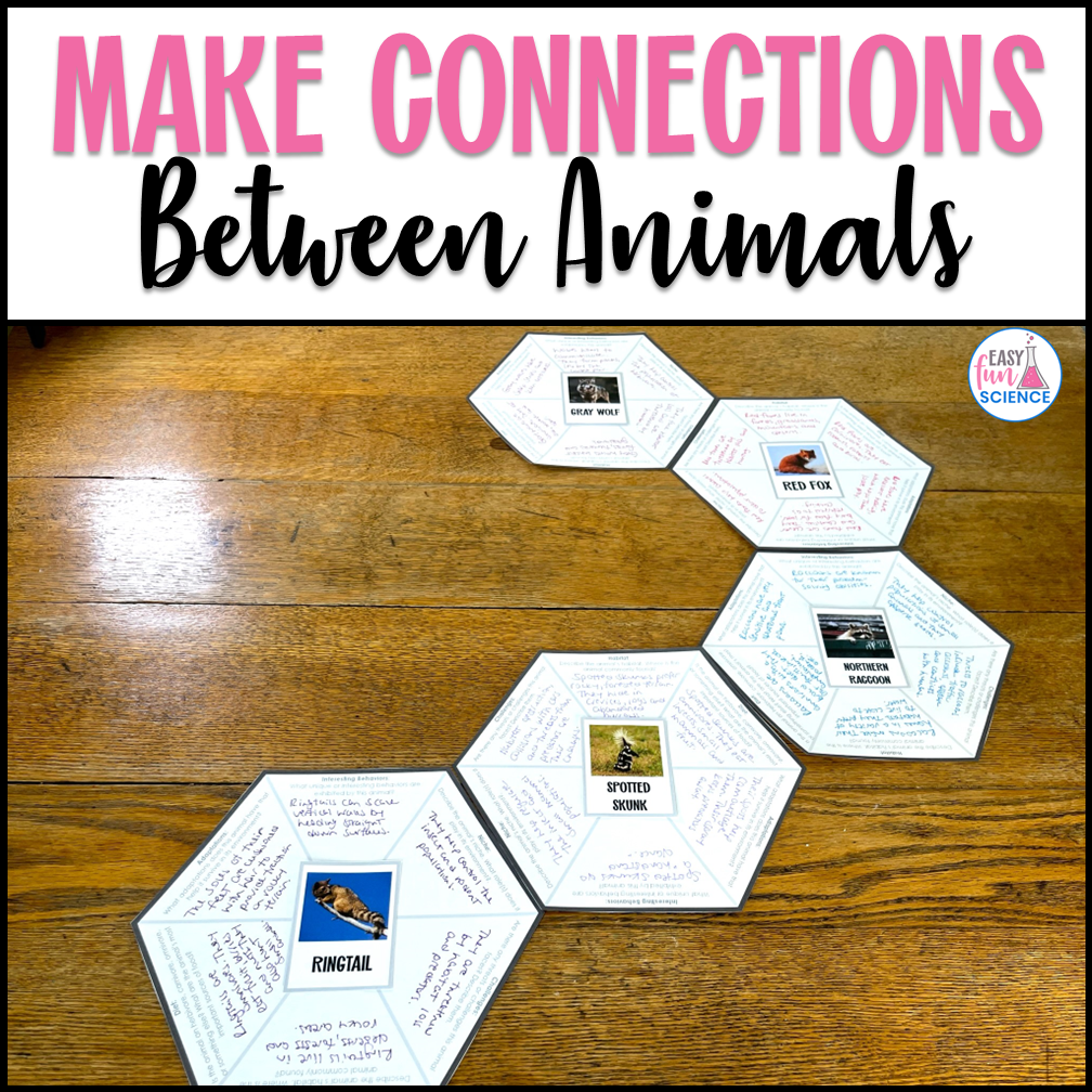 Hexagonal thinking activity with hexagons featuring nocturnal animals linked together