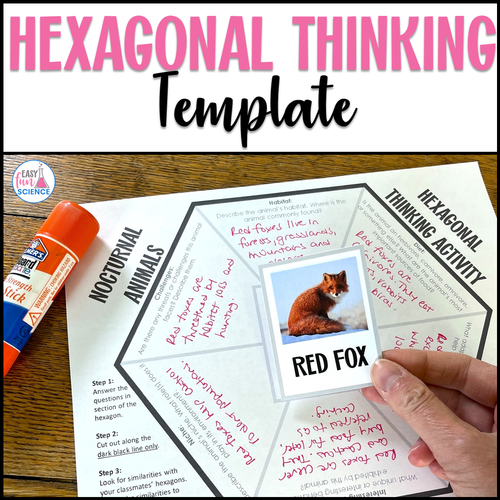 Hexagonal thinking activity template with a red fox photo being glued to the center