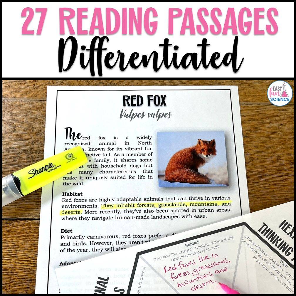 Reading passage about red foxes