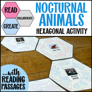 Hexagonal thinking activity with nocturnal animals