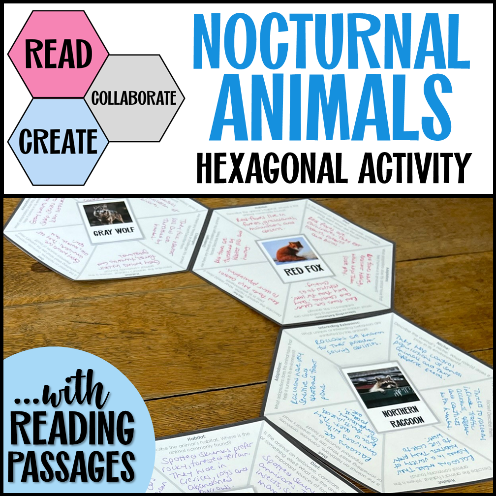 Hexagonal thinking activity with nocturnal animals