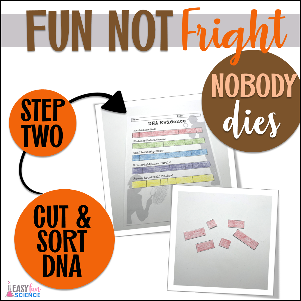 Paper DNA
