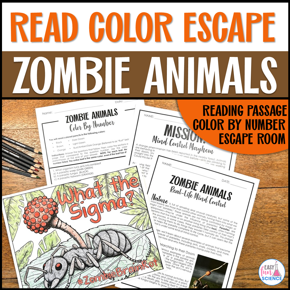 Halloween Science Worksheets – Crack the Code and Halloween Candy Health Lesson