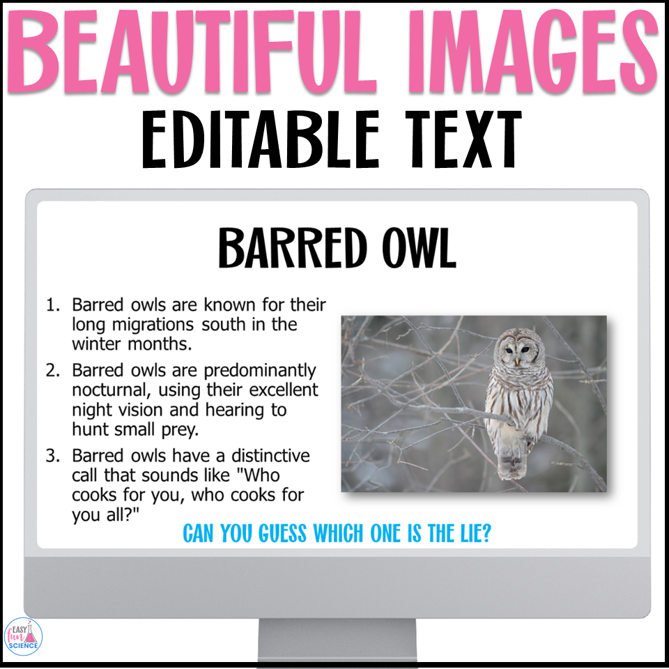 Resource for teaching halloween nocturnal animals with middle school students, featuring a no-prep science game and bell ringer activities.