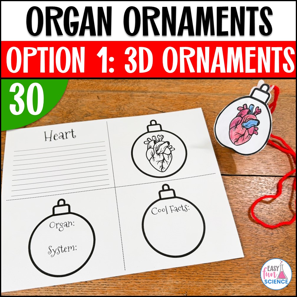 Science Christmas Ornaments
