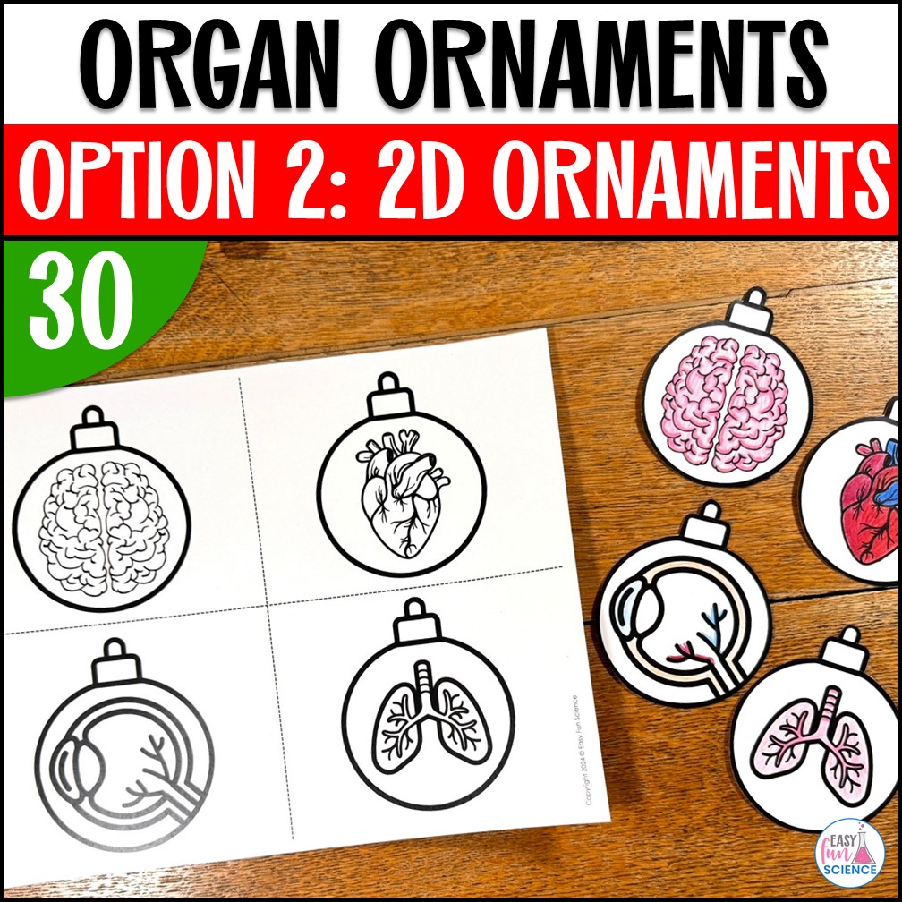 Science Christmas Ornaments