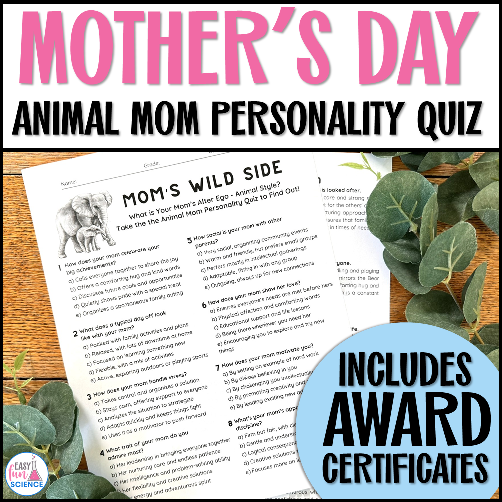 Fun Mother’s Day Questionnaire for classroom or home use