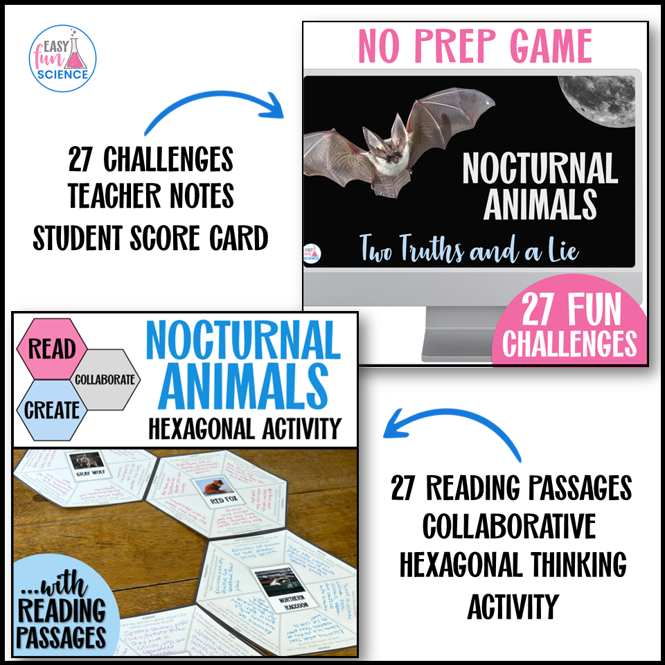 Printable fun end of year science activities bundle
