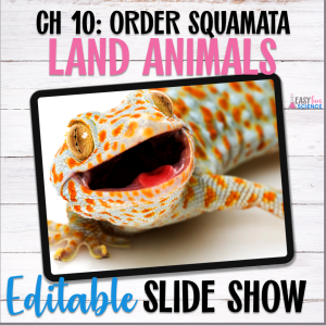 worksheet about Squamata characteristics