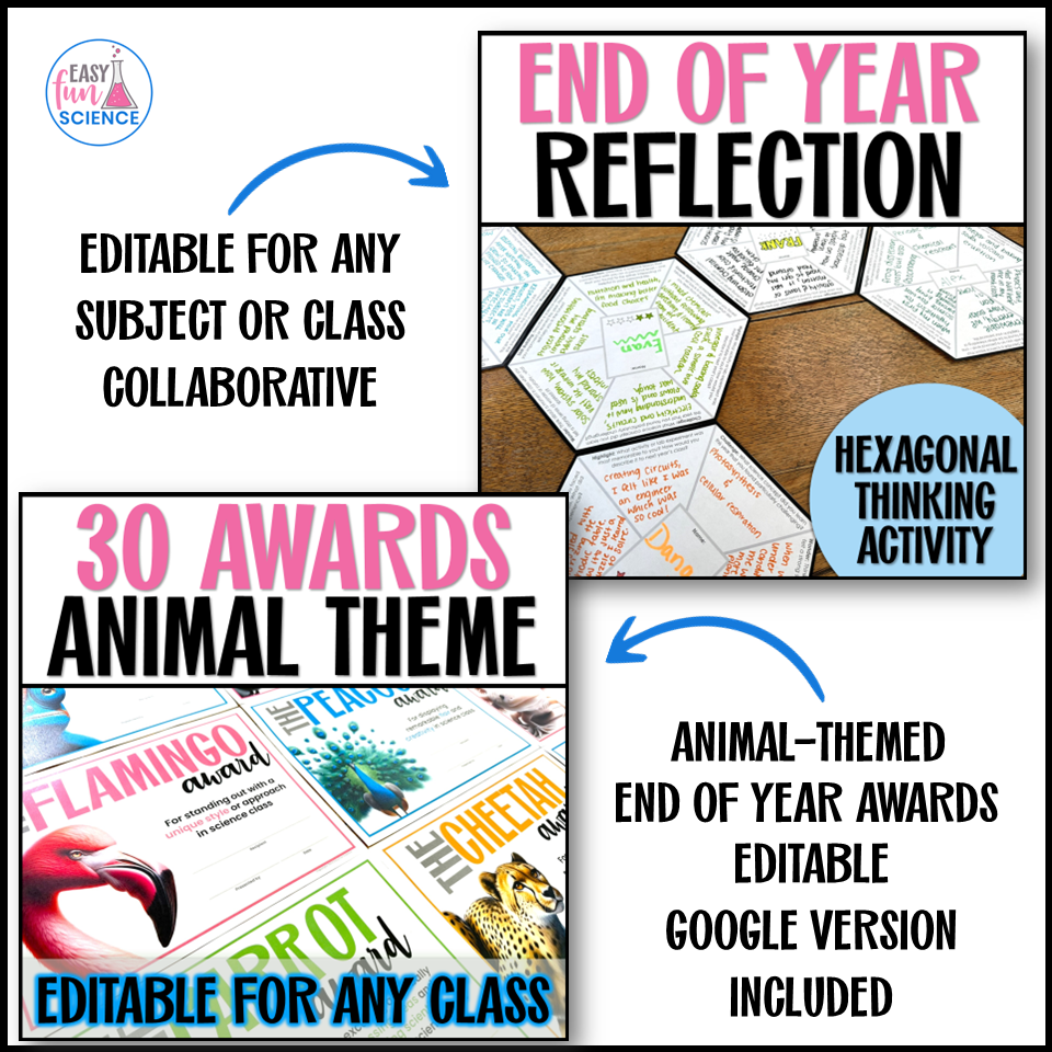 Printable fun end of year science activities bundle