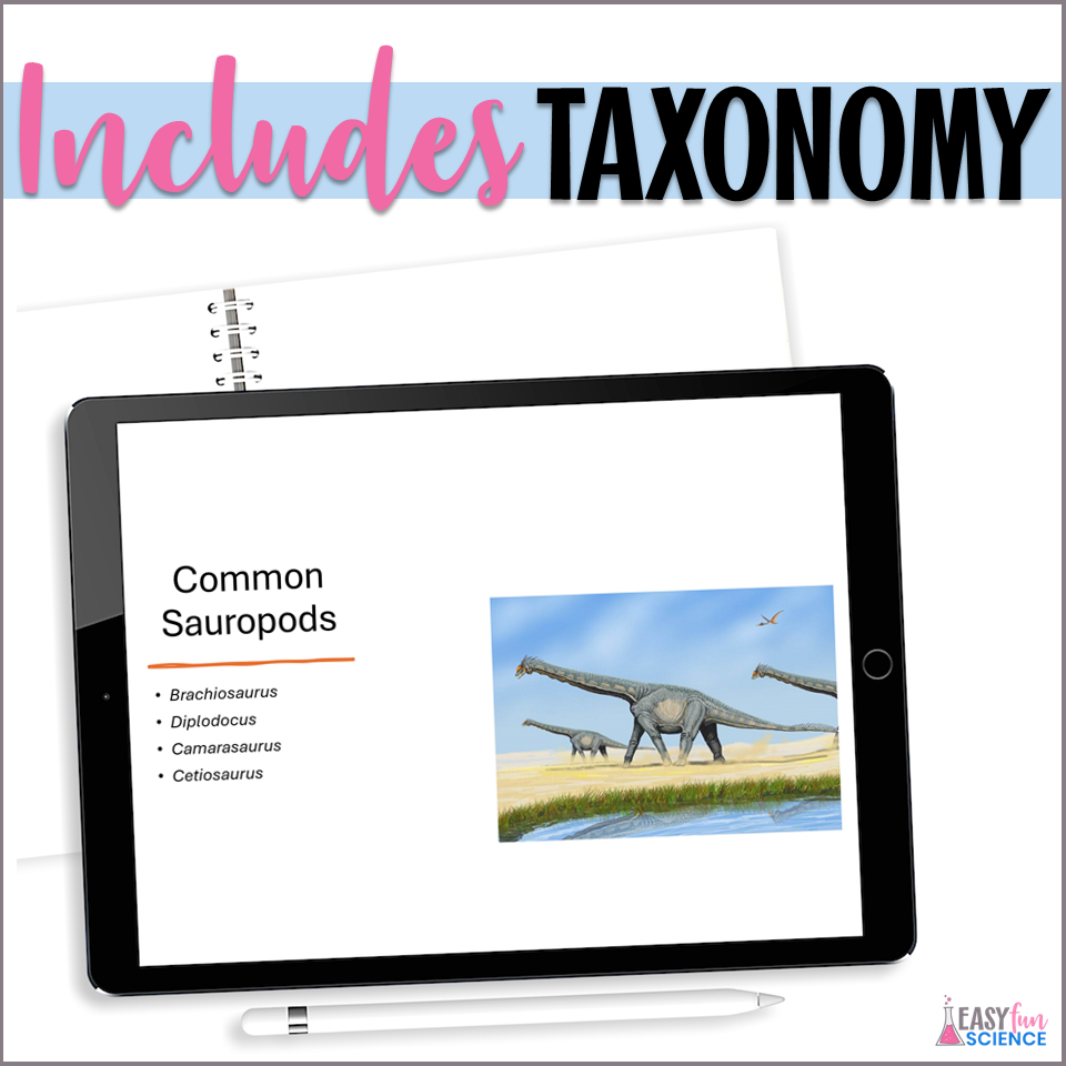 dinosaurs and land animal worksheets