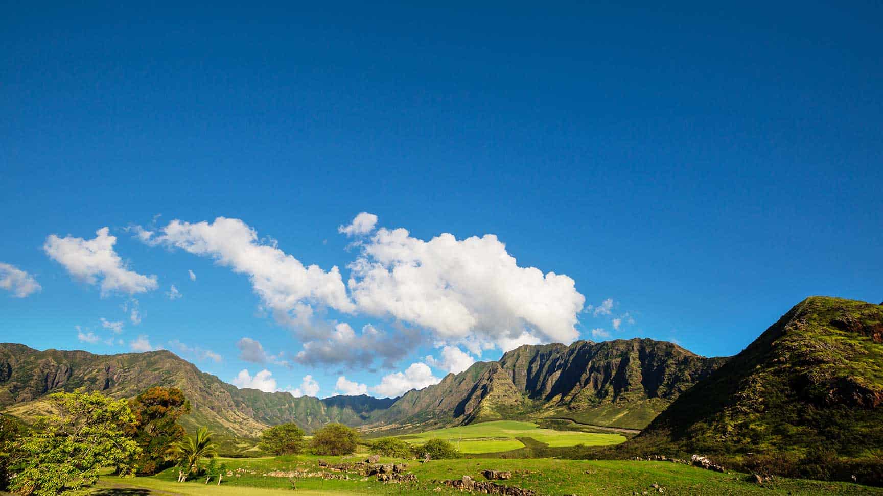 ECI Hawaii