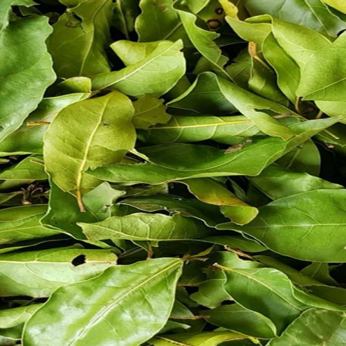 Bay Leaves(2)