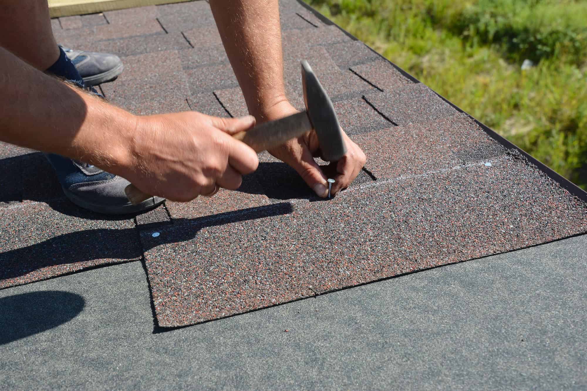 Roofer repair Asphalt Shingles The Bay Area
