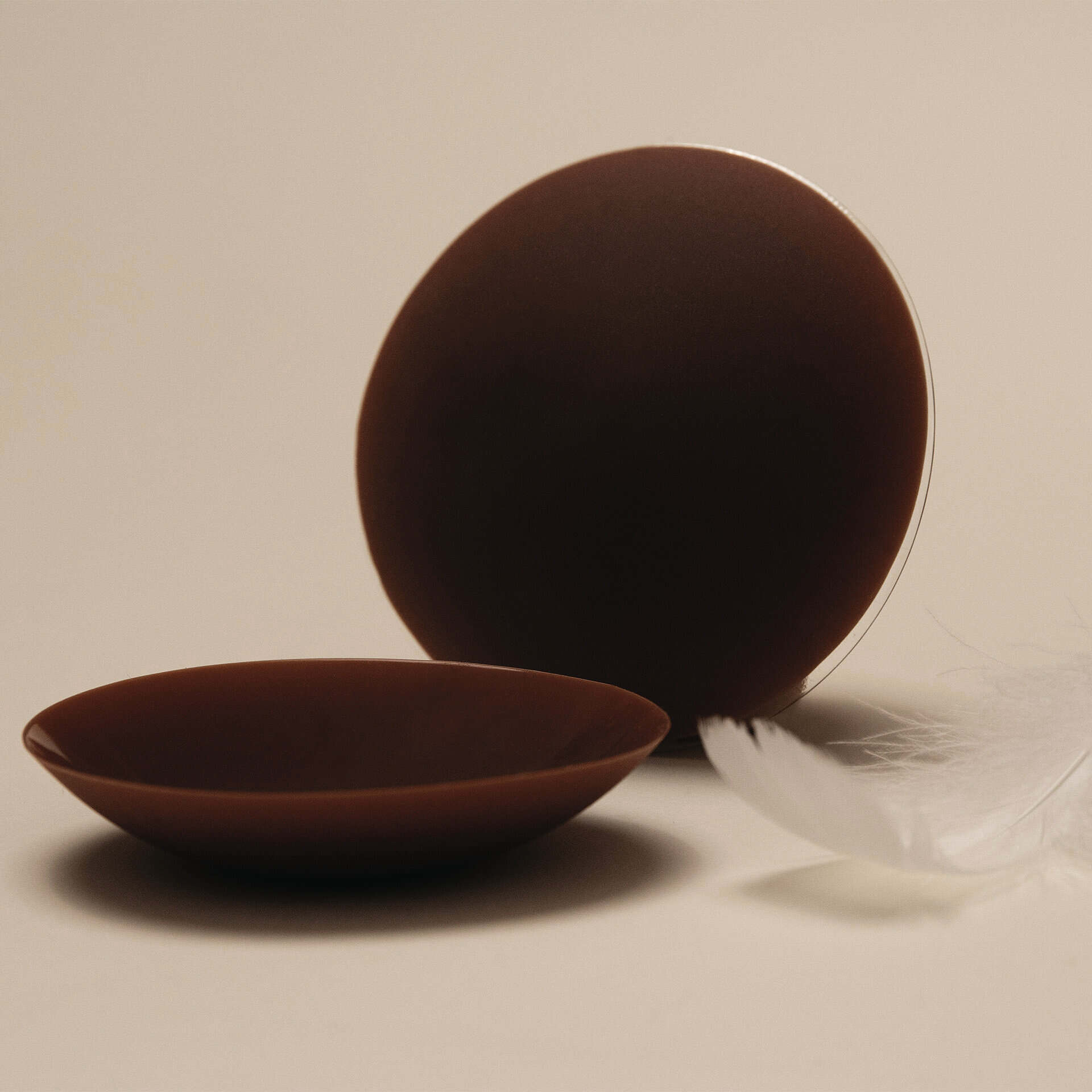 Close-up of a dark brown, round object resting on a shallow brown dish against a pale beige background.