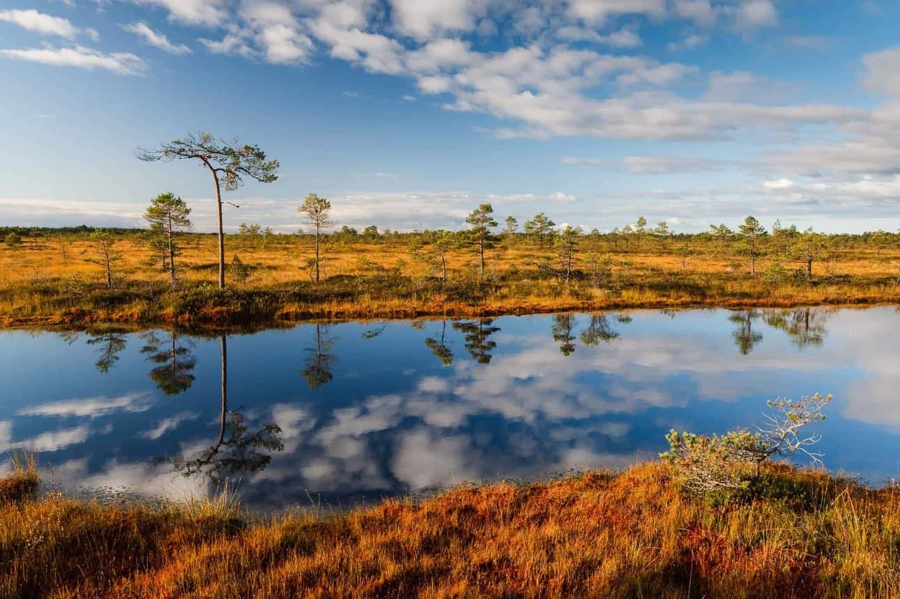 Soomaa Wilderness