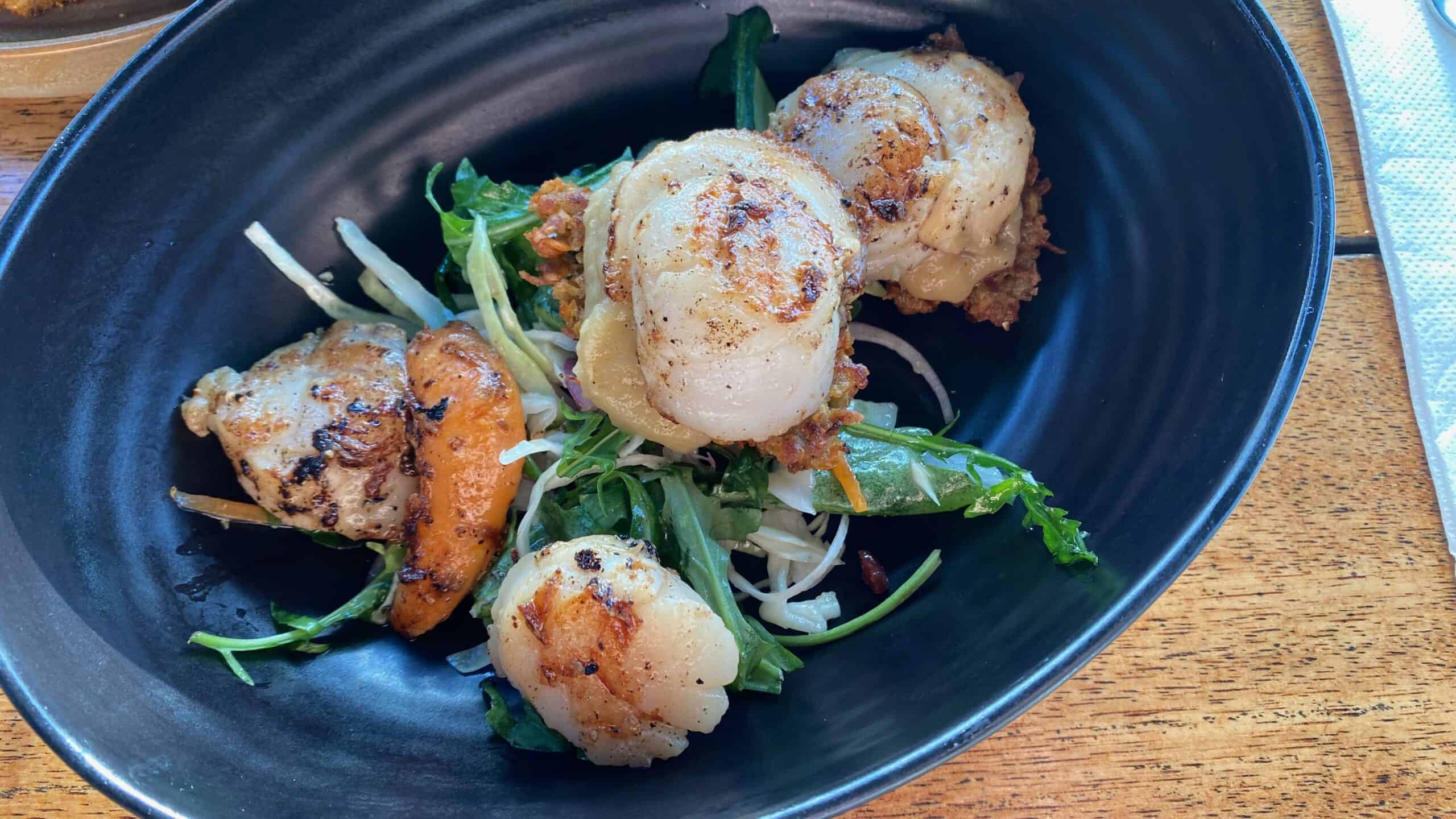 Tasty scallops served fresh from the catch of the day