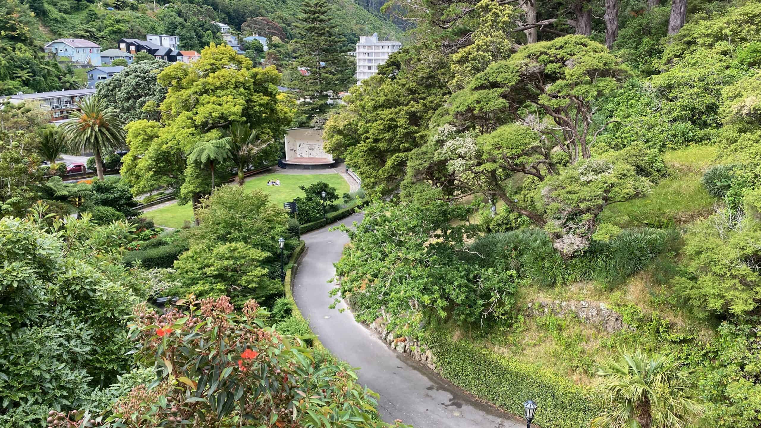 The path through the Wellington Botanical Gardens