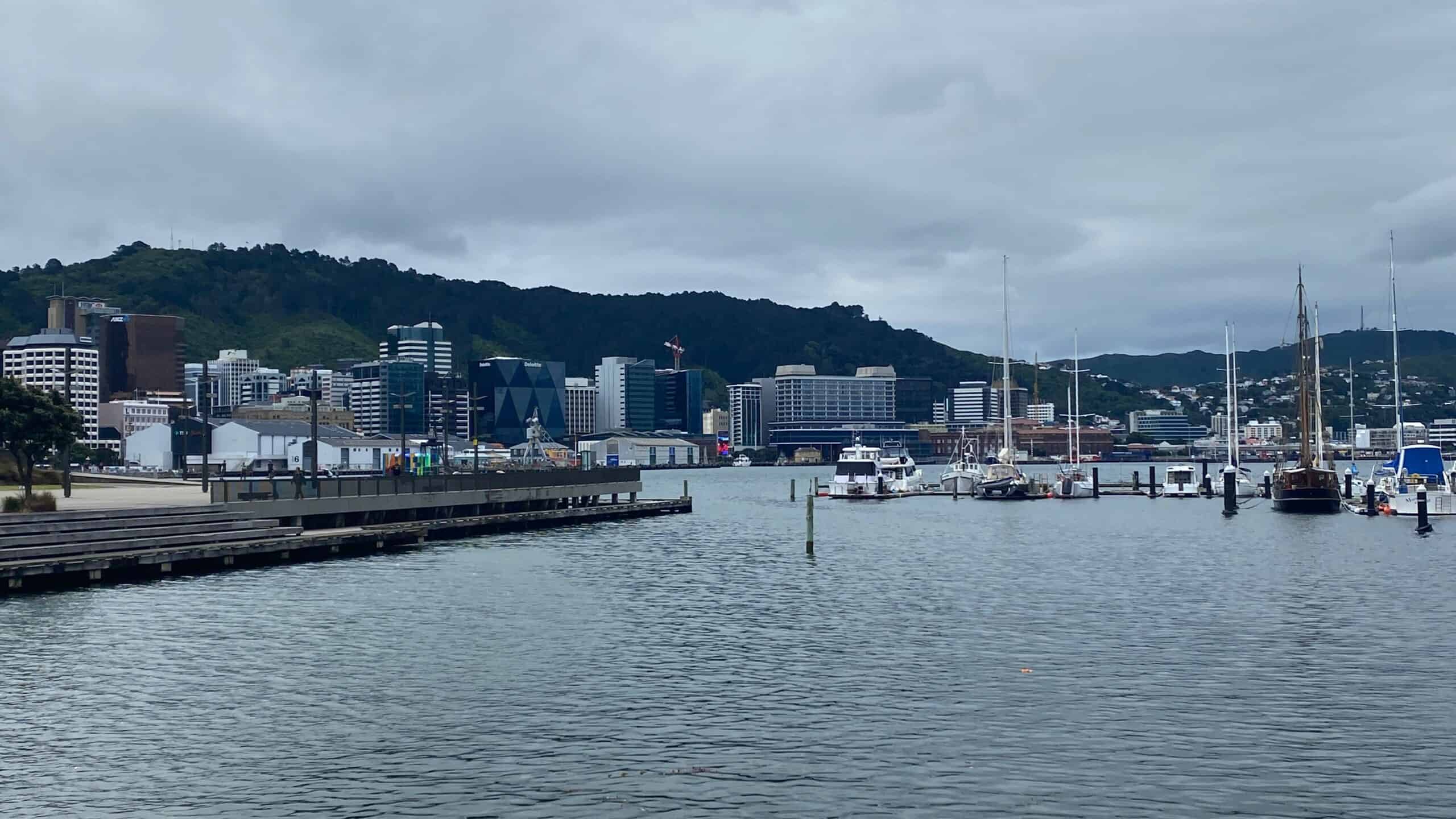 Harbour area in Wellington