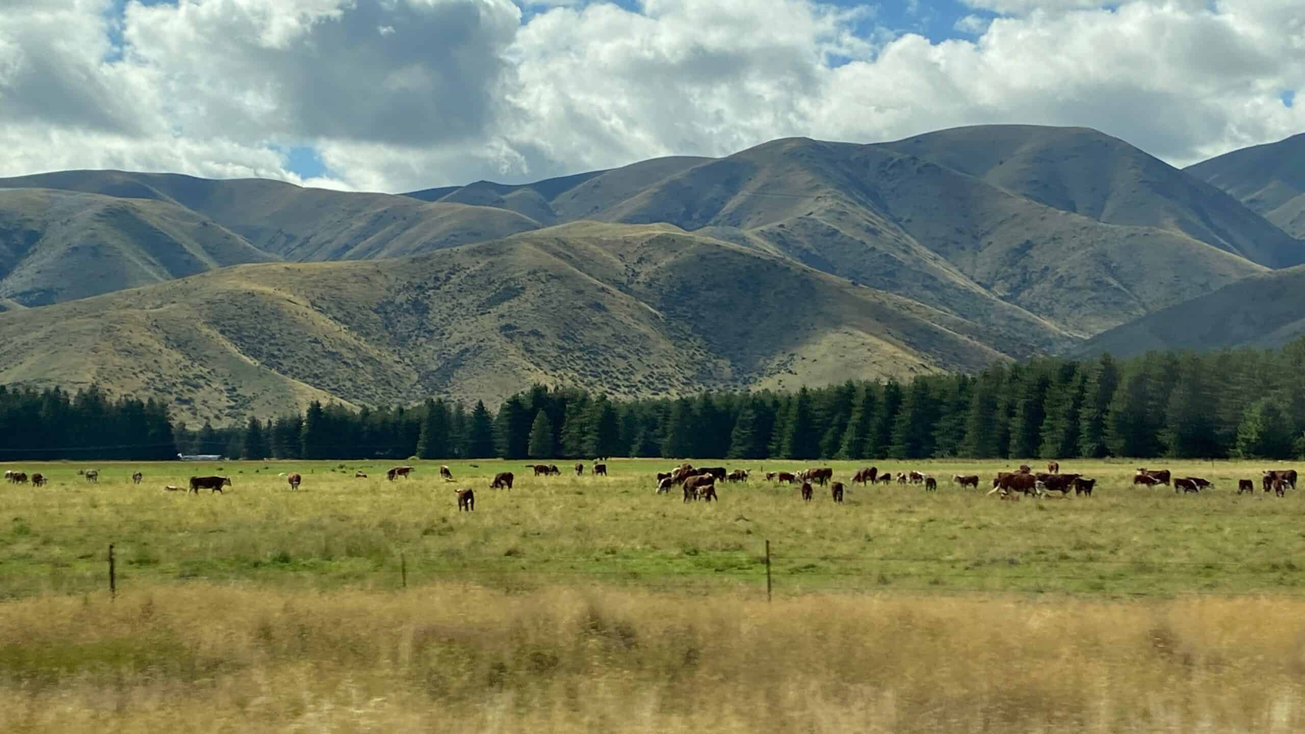 Sweeping vistas around every corner