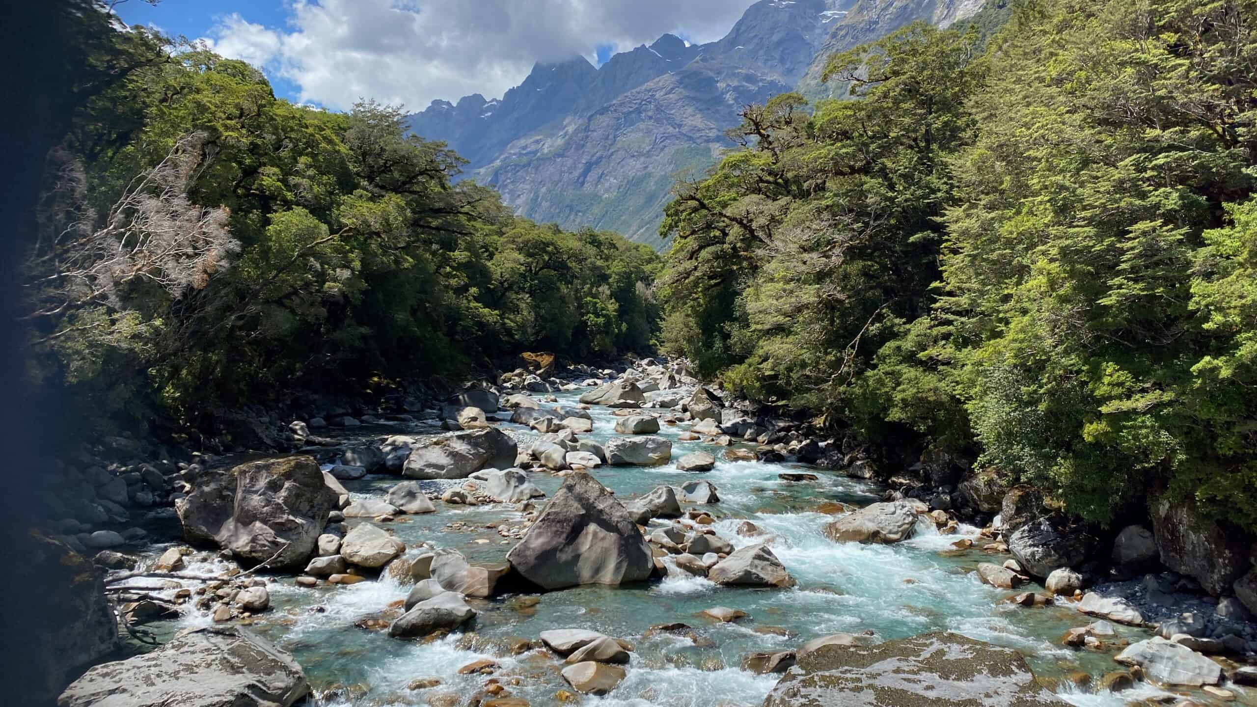 Incredible natural vistas along the drive to Milford Sound