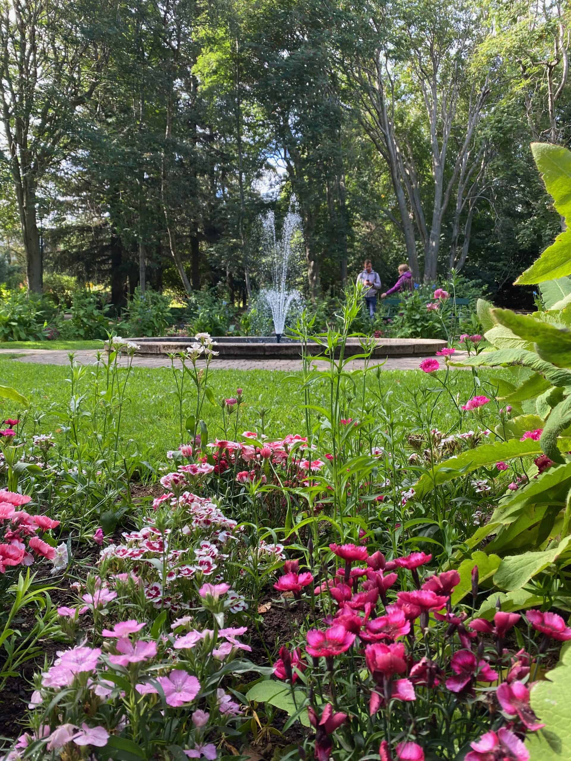 Fountain in Botanical garden