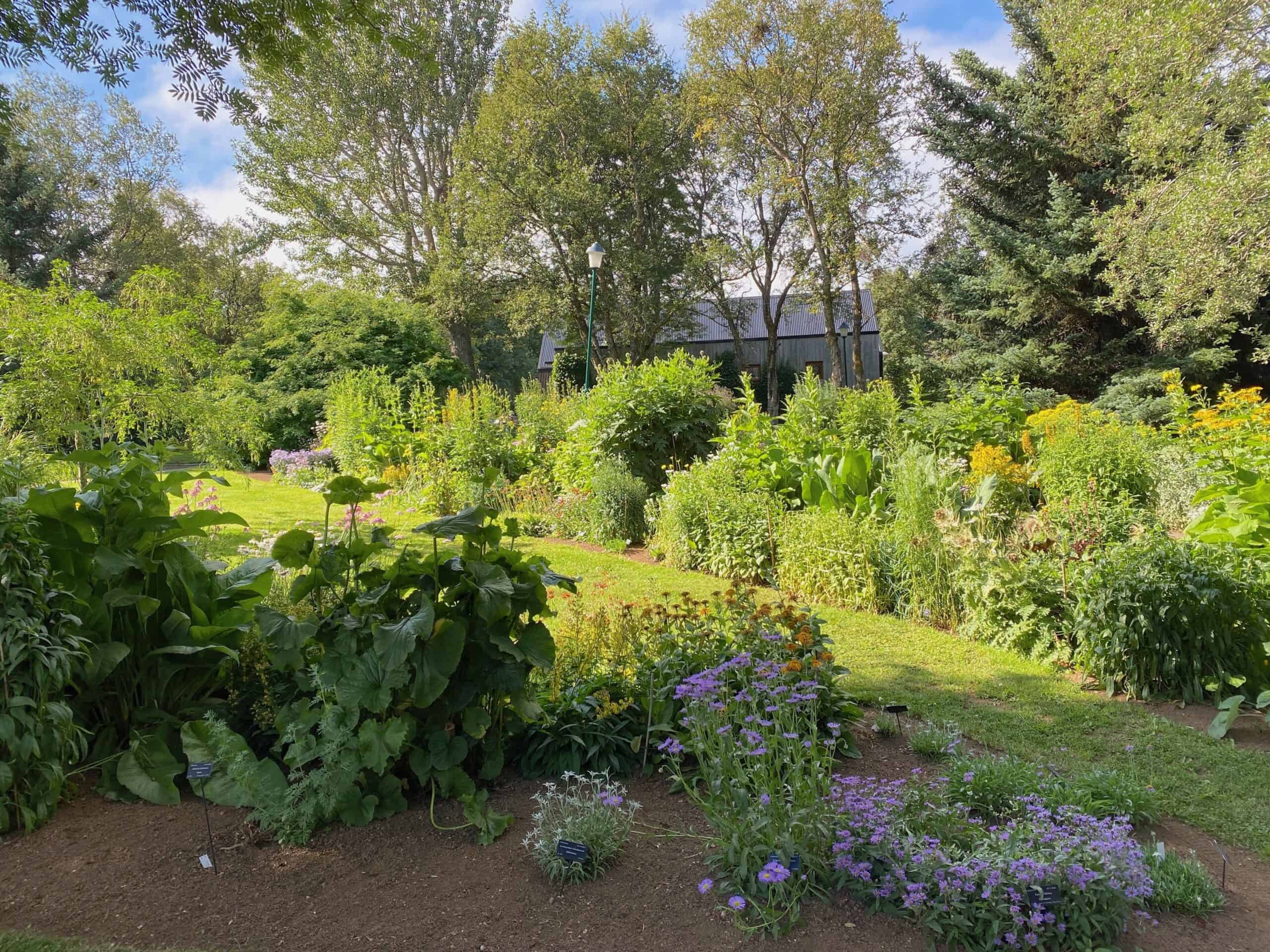 Botanical garden in Akureyri